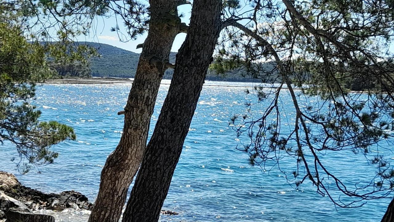 Apartment Gulin Šibenik Dış mekan fotoğraf